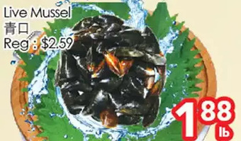 Superking Supermarket Live mussel offer