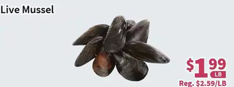 Blue Sky Supermarket Live mussel offer