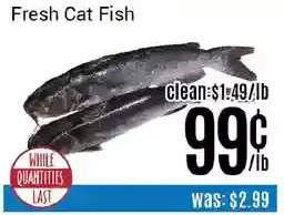 Nations Fresh Foods Fresh cat fish offer