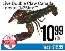 Nations Fresh Foods Live double claw canada lobster offer