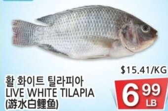 H-Mart Live White Tilapia offer