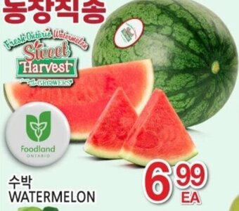 H-Mart Watermelon offer