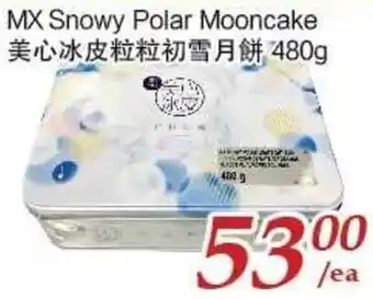 Tone Tai Supermarket MX Snowy Polar Mooncake 480g offer