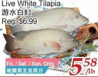Tone Tai Supermarket Live White Tilapia offer