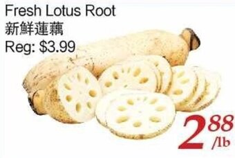 Tone Tai Supermarket Fresh Lotus Root offer