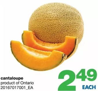 Wholesale Club Cantaloupe offer