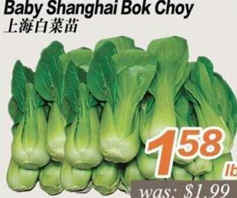 Seasons Foodmart Baby Shanghai Bok Choy offer