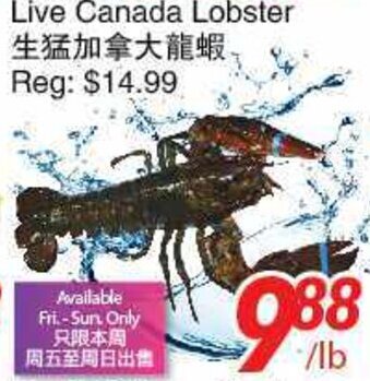Foody World Live Canada Lobster offer