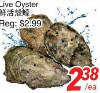 Foody World Live Oyster offer