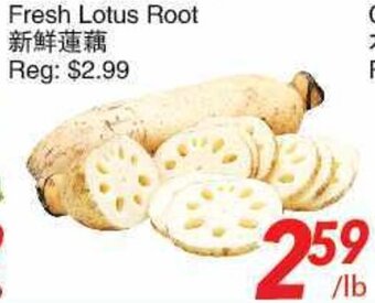 Foody World Fresh Lotus Root offer