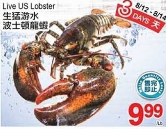 T&T Supermarket Live US Lobster offer