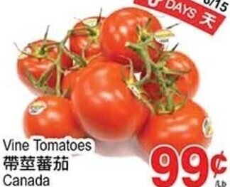 T&T Supermarket Vine Tomatoes offer