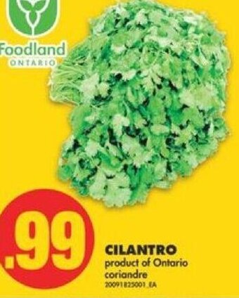 No Frills Cilantro offer
