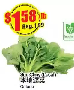 Btrust Supermarket Sun choy offer