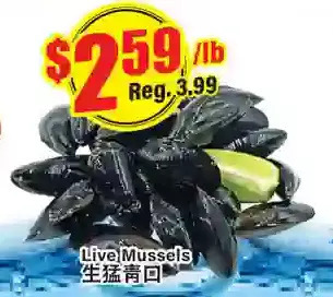 Btrust Supermarket Live mussels offer