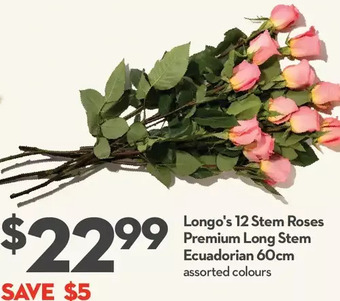 Longo's Longo's 12 stem roses premium long stem ecuadorian 60cm offer