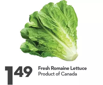 Longo's Fresh romaine lettuce offer
