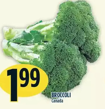 Marché Adonis Broccoli offer