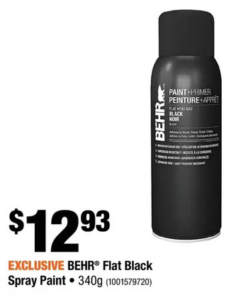 Home Depot Behr flat black spray paint offer
