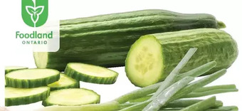 Giant Tiger English cucumber offer