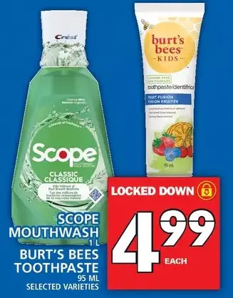 Food Basics Scope mouthwash | burt's bees toothpaste offer