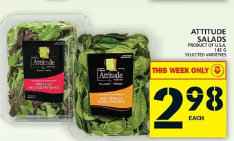 Food Basics Attitude salads offer