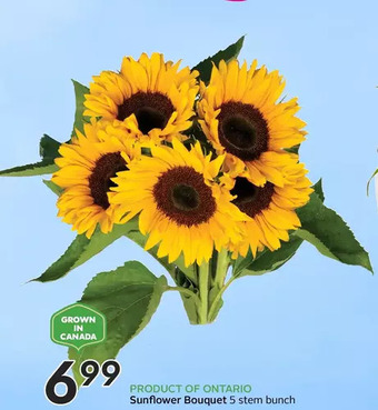 Sobeys Sunflower bouquet offer