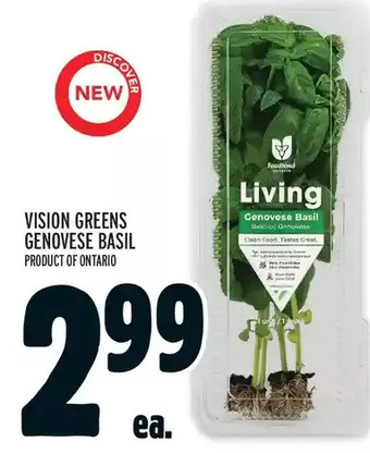 Metro Vision greens genovese basil offer