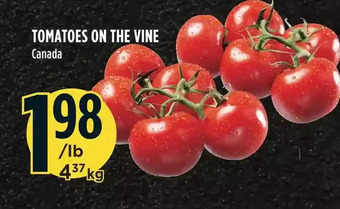 Marché Adonis Tomatoes on the vine offer