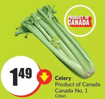 FreshCo Celery offer
