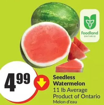 FreshCo Seedless watermelon offer