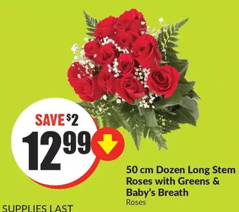 FreshCo 50 cm dozen long stem roses with greens & baby's breath offer