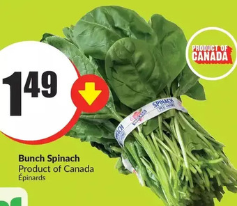 FreshCo Bunch spinach offer