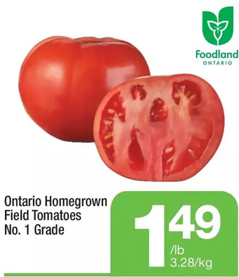 Highland Farms Ontario homegrown field tomatoes offer