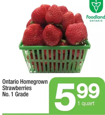 Highland Farms Ontario homegrown strawberries offer