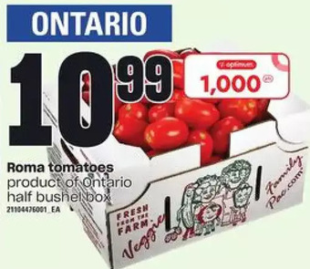 Loblaws Roma tomatoes offer