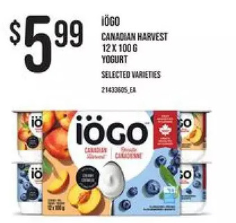Loblaws Iogo canadian harvest yogurt offer
