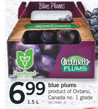 Fortinos Blue plums offer