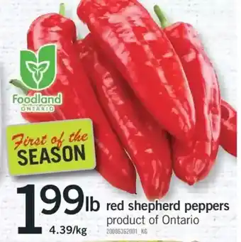 Fortinos Red shephered peppers offer