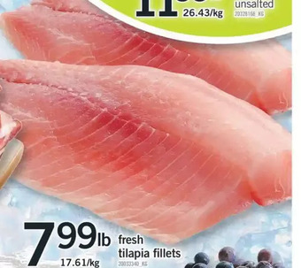 Fortinos Fresh tilapia fillets offer
