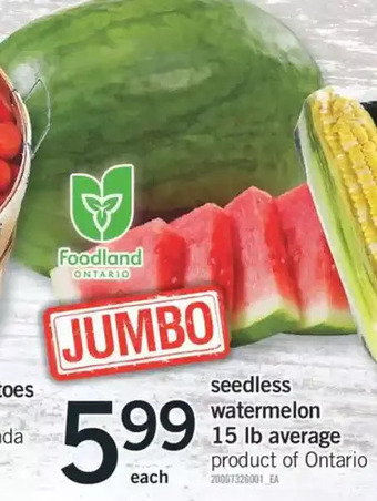 Fortinos Seedless watermelon offer