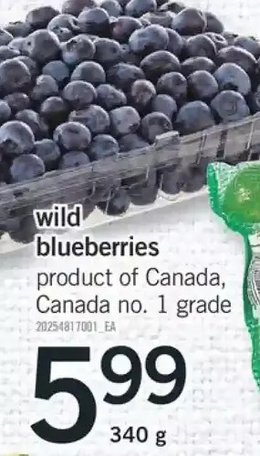 Fortinos Wild blueberries offer