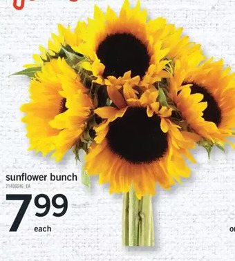 Fortinos Sunflower bunch offer