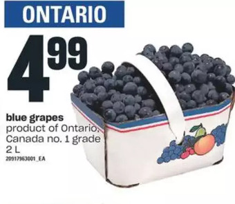 Independent Grocer Blue grapes offer