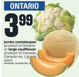 Independent Grocer Jumbo cantaloupes or large cauliflower offer