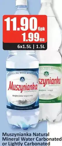 Starsky Muszynianka natural mineral water carbonated or lightly carbonated offer