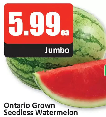 Starsky Ontario grown seedless watermelon offer
