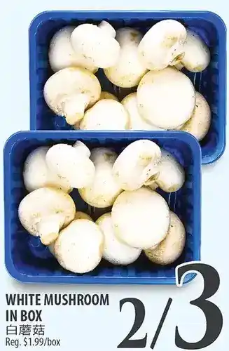 Al Premium Food Mart White mushroom in box offer