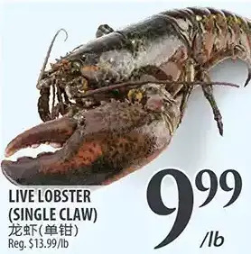 Al Premium Food Mart Live lobster offer