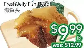 Ample Food Market Fresh jelly fish head offer